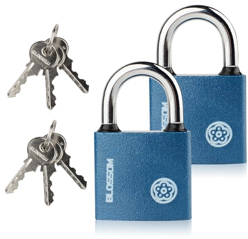 2 Pack Iron Padlock with Keys Heavy Duty Padlock High Security Padlocks, Key Padlock for Doors, Shed, Warehouse, Garage, Office, Cabinets (2, 38mm)