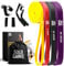 Solo Gains Resistance Bands Set – 4 Levels Stretch Bands for Exercise Include Door Anchors, Handles, Protective Covers – Elastic and Durable Physio Resistance Bands Elastic Bands Gym