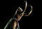 Poster Loki Avengers Thor Wall Art