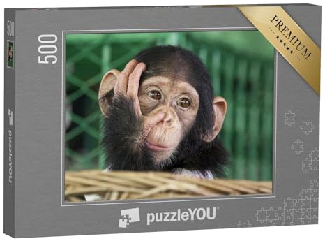 puzzleYOU: Puzzle 500 Teile „EIN Kleiner Schimpanse“ – aus der Puzzle-Kollektion Affen, Tiere, Schimpansen, Tiere in Dschungel & Regenwald
