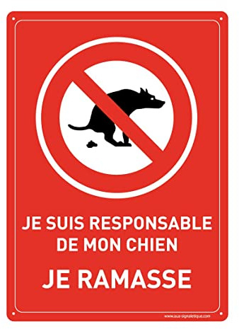 AUA SIGNALETIQUE - Panneau Prépercé (4 Trous) avec Angles arrondis - PVC Rigide 1.5 mm - (350x490 mm, Responsable de Chien Je Ramasse)