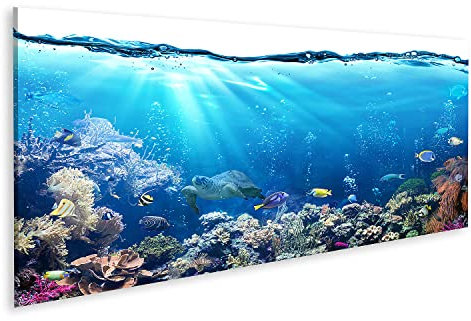 islandburner Bild auf Leinwand Unterwasser Szene Mit Riff Und Tropischen Fischen Wandbild Poster Kunstdruck Bilder