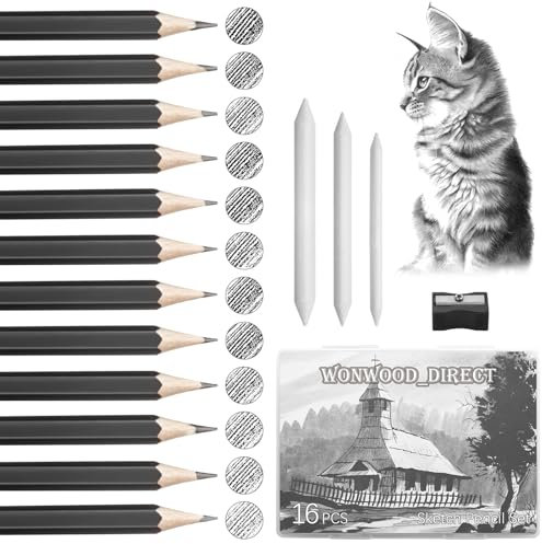 Wonwood_direct Bleistift Set 16 Zeichenstifte, Zeichenstifte Professionell Set mit Sketch Radierbarer Stift und Radiergummi, Bleistifte Zeichnungssatz für Künstler, Erwachsene, Zeichnungen