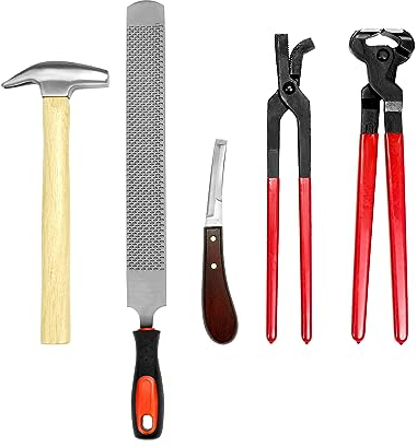 QWORK® Set di 5 Kit professionale per cambiare Ferri di Cavallo, tagliaunghie - coltello per zoccoli - raspa per zoccoli - Martello per zoccoli - Pinza per copertoncino