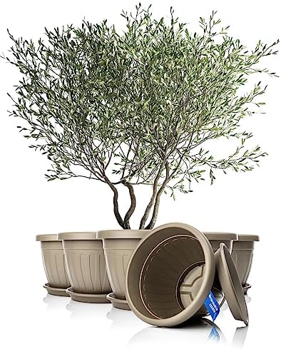 BigDean 6x Blumentopf mit Untersetzer rund ø50xH38 cm Mokka/braun - wetterfester Pflanzkübel - Wasserablauf UV-beständig aus bruchsicherem Kunststoff - Innen + Außen geeignet - Made in Europe