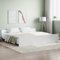 THOYTOUI Bettgestell, Seniorenbett Bettrahmen Bettsystem Betten Geeignet für Mehrbettzimmer Gästezimmer Schlafzimmer Hotel mit Kopf- und Fußteil Weiß 180x200 cm