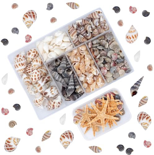 Natürliche Muscheln Deko Klein, 110 Stück Muscheln zum Basteln Muscheln zum Auffädeln Deko Muscheln Klein Ungebohrt Muscheln und Seestern Deko für Kerzen Selber Machen DIY Kunsthandwerk Aquarium