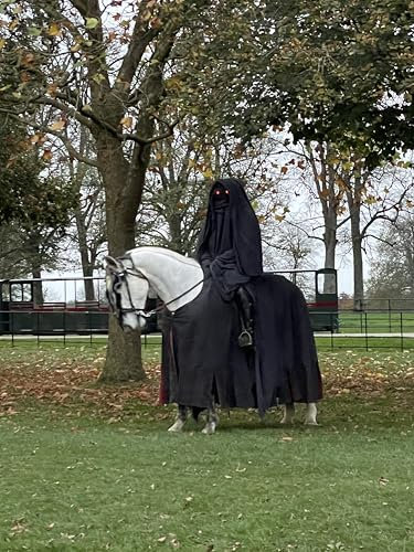 Realm of Thrones Admiral Ergonomischer Bürostuhl - verstellbar (Sitz/Rücken), 4D-Armlehnen, 3D-Kopfstütze, Lendenstütze, Mesh-Rücken, Drehfunktion & Stahlbasis (Schwarz)