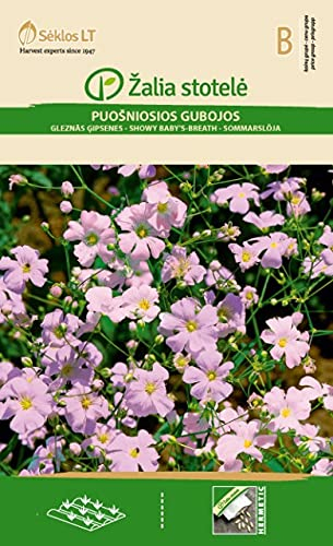 Seklos LT | SCHLEIERKRAUT | Einjährige Pflanze | Blumensamen | Die Blüten sind winzig klein, aber sehr dicht | Pflanzensamen | 1 Pack