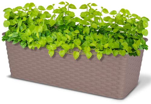 ASAB Rattan Planter Pot Modern Rectangular Resistant Indoor Outdoor Durable Plastic Home Decor (Sand)