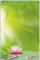 Wallario Outdoor-Poster für Garten oder Balkon Seerose auf dem Wasser, Motivbanner Größe: ca. 60 x 90 cm, Outdoor-Bild