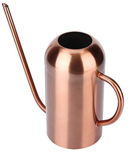 Arrosoir en Acier Inoxydable de 1,5 l, Pot d'arrosage d'intérieur, Longue Bouche, Fleurs de Jardin, Plantes, Outil de Fleur, Bec cylindrique pour Bureau, Bureau, extérieur, bonsaï