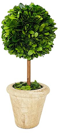 Buchsbaum-Formschnitt im Topf, 22,9 cm, wunderschöne Grün- und Pflanzendekoration, ideal für Zuhause, Büro, Bar, Ladendekoration (22,9 cm hoch/10,2 cm breit)