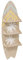 Atmosphera - Wandregal Surfbrett Australien - Beige