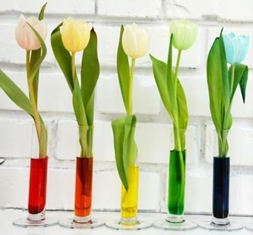 Wasserfarbe für die Färbung von Wasser, Blumen und Leckagen in Wasseranlagen, ungiftig, rot/blau/grün (blau)