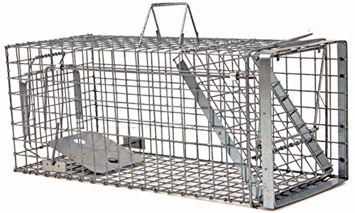 Holtaz Hardy Super Starke Falle Marderfalle Katzenfalle Fuchsfalle Biberfalle Tierfalle Kastenfalle Drahtfalle Waschbärfalle 1 Tür, Größe: 102x34x34 cm Mit Extra Köder