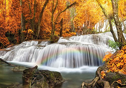 PICSonPAPER Poster Wasserfall im Herbstwald, 100 cm breit x 70 cm hoch, Natur, Wald, Bäume, Thailand, Pha Tat Waterfall, Regenbogen