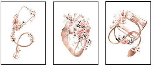 Coeur stéthoscope Fleur Murale Art Affiches médicales et cardiologue Bureau Toile Tableau Peinture médecin Cadeau Decoration Vogue Tableaux 40x60cmx3 Pas de Cadre
