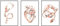 Coeur stéthoscope Fleur Murale Art Affiches médicales et cardiologue Bureau Toile Tableau Peinture médecin Cadeau Decoration Vogue Tableaux 40x60cmx3 Pas de Cadre