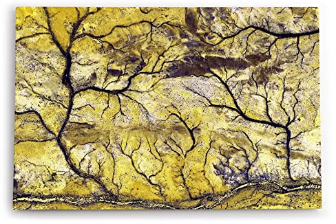 Paul Sinus Wandbild 120x80cm Luftaufnahme von der Erde Vogelperspektive Flussadern