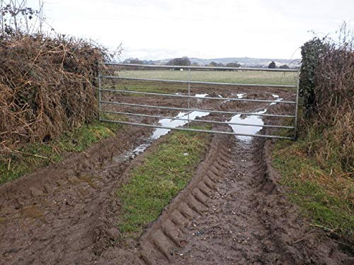 Horse Pony Muddy Gateway Repair Paddock OVERSEED Pastures Grass Seed 20KG