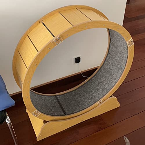 Katzenlaufrad Großes Laufrad für Wohnungskatzen, Kätzchen Kleine Haustiere Katze Räder Laufband Laufen Spielzeug Leise, Katzenlaufrad / Katzenkratzbrett ( Size : XL-Inner Diameter 113cm(44 1/2) )