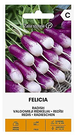 Zalia stotele | RADIS FELICIA des Graines | Graines de Légumes | Graines de Plantes | Graines de Jardin | 1 Paquet