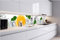 Dimex Küchenrückwand Folie Selbstklebend Zitrone UND EIS 420 x 60 cm | Klebefolie - Dekofolie - Spritzschutz für Küche | Made in EU