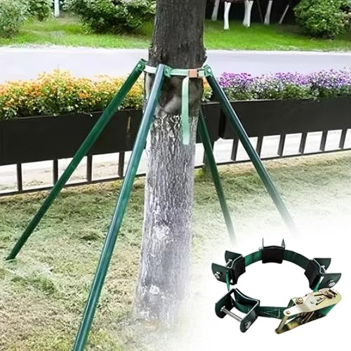 LZMZMQ Baumstütze Baumstützrahmen Aus Stahlrohr, Robuste Baumstütze Mit Verstellbarer Befestigung, Kippsichere Baumhalterung Für Aufrechtes Wachstum des Baumes(2m/6.5ft)