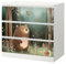 Sunnywall® Möbelfolie passend für IKEA Malm Kommode Schrankfolie Aufkleber mit Kleiner Bär im Wald Motiv | blasenfrei verkleben | Kinderzimmer 3er 80 cm