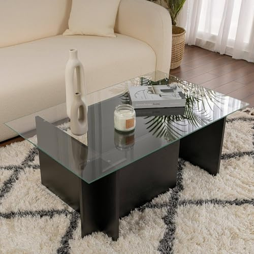 Dmora Couchtisch Illasi 105x65x40h cm Schwarz, Zeitungsablage