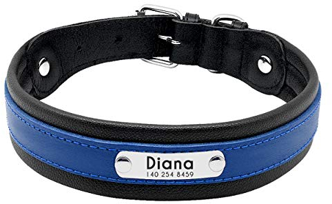 PET ARTIST Studded Blue Leather Dog Collar with Name Plate - Personalized Leather Dog Collars for Large Dogs - Free Engraved with ID Tags, M(Neck 12-16.5)