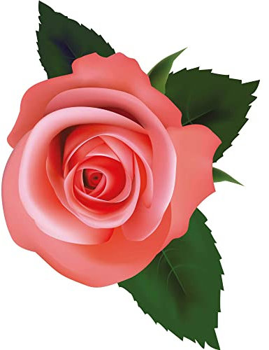 Kleberio Aufkleber Rose rosa Autoaufkleber wasserfest Blumen Mülltonne Blumenwiese Dekoration Liebe selbstklebend Fensterbild Fliesenaufkleber für Kinder und Erwachsene 15 x 20 cm