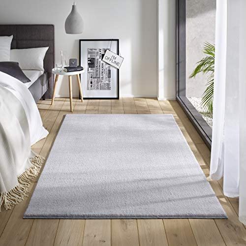 TacaHome Waschbarer Kurzflor Teppich Anti-Rutsch I Flauschiger Flachflor für Badezimmer Wohnzimmer Schlafzimmer Kinderzimmer Flur Läufer | 120 x 170 cm Grau