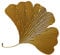 predolo An der befestigte Ginkgo-Blätter-Eisen-Dekor-Ginkgo-Blätter-Kunst-Skulptur, KLEIN