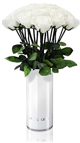 EG EMMIE GRAY Classic Vase Set | Long Stem Infinity Rosen inkl. weißer Glasvase - Luxuriöser Rosenstrauß aus echten Premiumrosen, die 1-3 Jahre halten, haltbare Rosen, (Pure White, 15 Rosen)