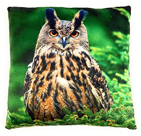 Onwomania Eule Adler Kautz Vogel Plüsch Kissen für Sofa oder Bett als Deko, Dekoration oder Kuschelkissen 35x35 cm