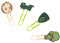 Grupo Erik: Set Graffette Marvel Groot | Set di 4 graffette colorate personalizzate, Clip di cancelleria, Fermagli Clips personalizzati, Groot Gadget, Guardiani della Galassia