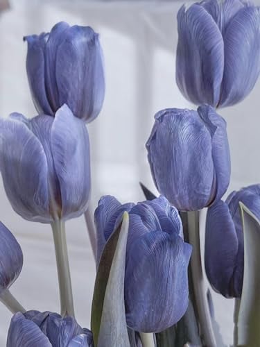 Tulpen Zwiebeln Winterhart Gartendekoration Bunte Tulpenzwiebeln