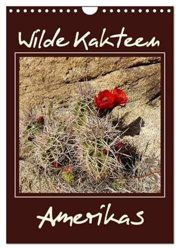 Wilde Kakteen Amerikas (Wandkalender 2026 DIN A4 hoch), CALVENDO Monatskalender: Kakteen Amerikas in ihrem natürlichen Lebensraum faszinieren mit wunderschönen Blütenfarben. (CALVENDO Natur)