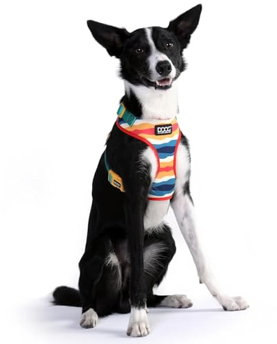 DOOG – Neoflex Hunde-Softgeschirr Scout – Schnelltrocknend, wasserfreundlich und verstellbar für optimalen Sitz – Ideal für Strandspaziergänge und aktive Outdoor-Hunde – Extra klein