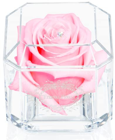 A 100% Real Rose That Lasts Years - Eternal Petals, Handmade in UK – White Gold Solo with A Multicolor Crystal (Light Pink)