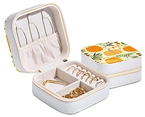 Schmuck-Aufbewahrungsbox, Reise-Schmucketui, festliche Kürbisse, Farne für Frauen und Mädchen