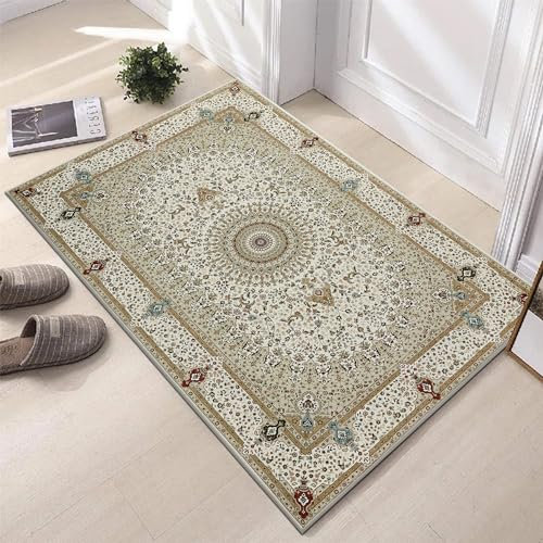 Hafaa Door mat 40x60 cm - Indoor & Outdoor Doormats Machine Washable Non Slip - Super Soft Heavy Duty Kitchen Floor Mat Dirt Trapper Entrance Mat, Willow Beige