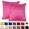 Emilie-Textil 2er Set SAMT Kissenbezug, Decorative Kissenhülle, Sofakissenbezug mit Verstecktem Reißverschluss, 14, Größen 40X40 / 45X45 / 50X50cm (2, Pink, 45X45)