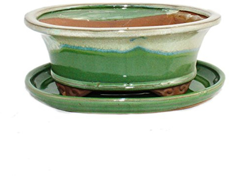 Exotenherz - Bonsai-Schale mit Unterteller Gr. 8 Zoll - grün-beige - oval - Modell O4 - L 21cm - B 17cm - H 6cm