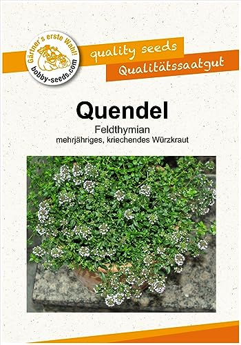 Kräutersamen Quendel Feldthymian Portion
