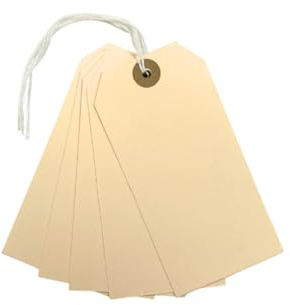 Pack of 20 Manila Luggage Strung Tags 60 x 120mm