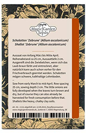 Schalotten 'Zebrune' (Allium ascalonicum) 100 Samen