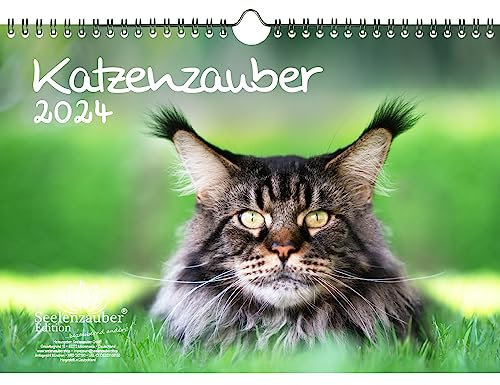 Katzenzauber DIN A4 Kalender für 2024 Katzen und Katzenbabys - Seelenzauber